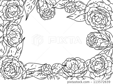 Background with camellia. Beautiful decorative plants. 113572639