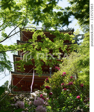 Haseji Temple Botan 113572863