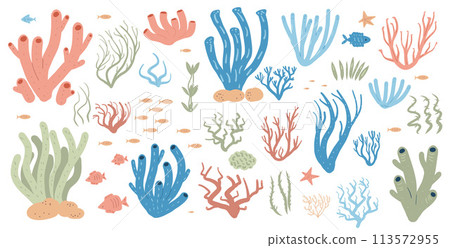 Coral reef set isolated on white background. Sea underwater elements. Vector flat illustration Coral reef set isolated on white background. Sea underwater elements. Vector flat illustration 113572955