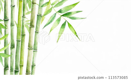 竹、竹林、竹叢的日式影像插畫背景（AI生成素材） 113573085