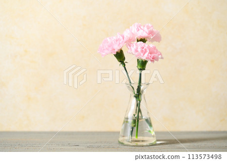 花瓶裡的康乃馨 113573498