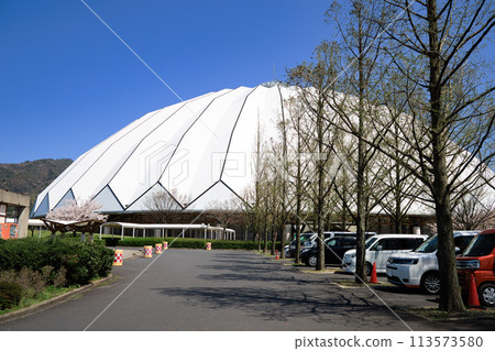 <Shimane Prefecture> Izumo Dome in Spring - Main Entrance 113573580