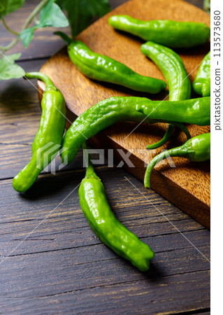 辣椒 辣椒 113573680