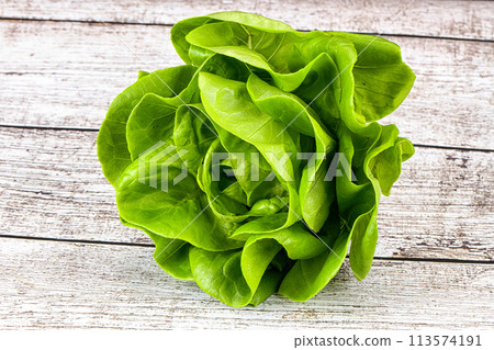 Butter lettuce salad green leaves Butter lettuce salad green leaves 113574191