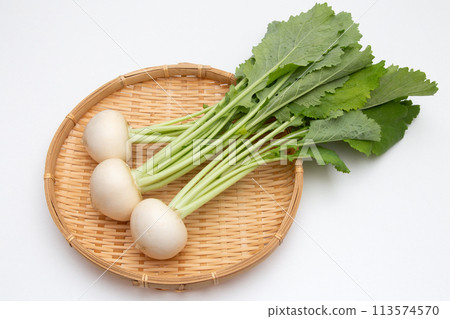 小蘿蔔（白蘿蔔） 113574570