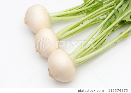 Small turnip (white turnip) 113574575