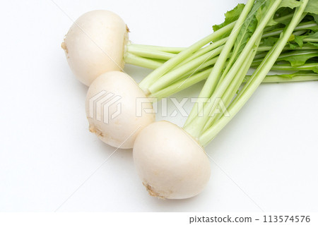 小蘿蔔（白蘿蔔） 113574576