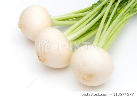 小蘿蔔（白蘿蔔） 113574577