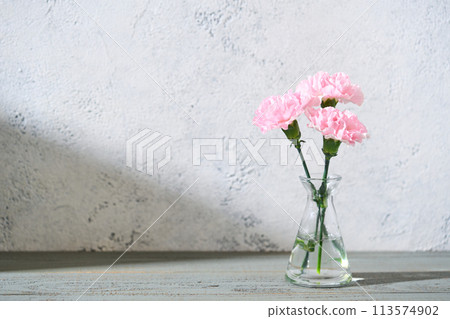 carnations in a vase 113574902
