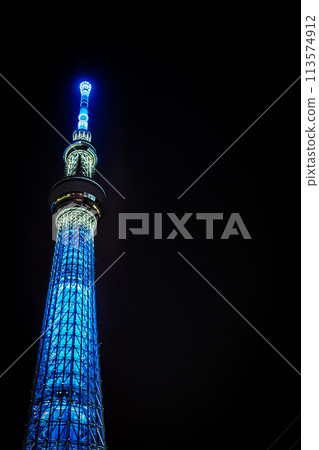 Sky tree at night 113574912