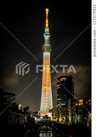 Sky tree at night 113574913