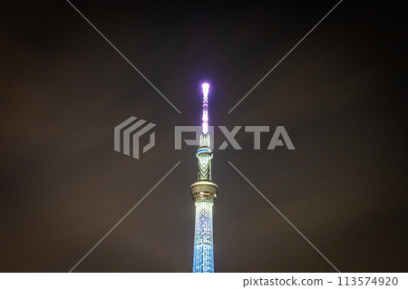 夜晚的天空樹 夜晚的天空樹 113574920