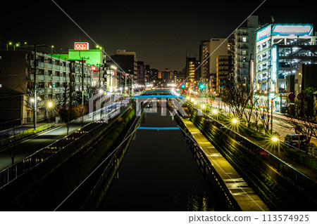 夜晚的天空樹 夜晚的天空樹 113574925