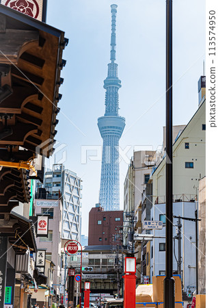 Spring scenery of the Skytree 113574950