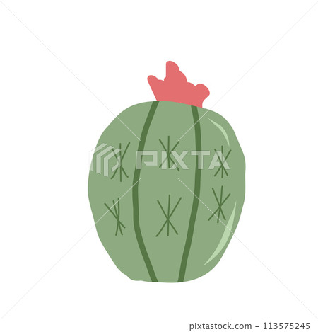 Prickly pear cactus isolation on white background. Mexican cacti. Exotic plant Vector illustration Prickly pear cactus isolation on white background. Mexican cacti. Exotic plant Vector illustration 113575245