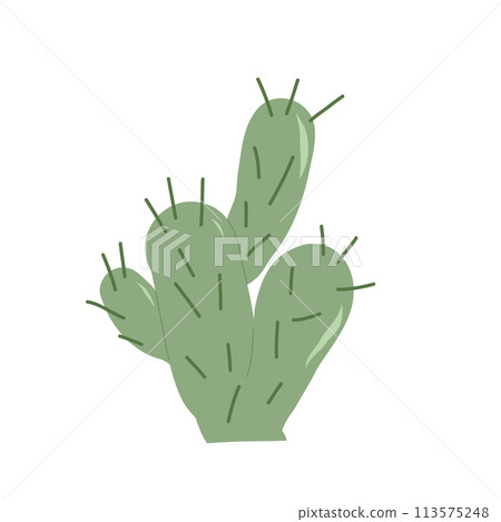 Cactus flat isolation on white background. Mexican cacti and aloe. Exotic plant Vector doodle illustration 113575248