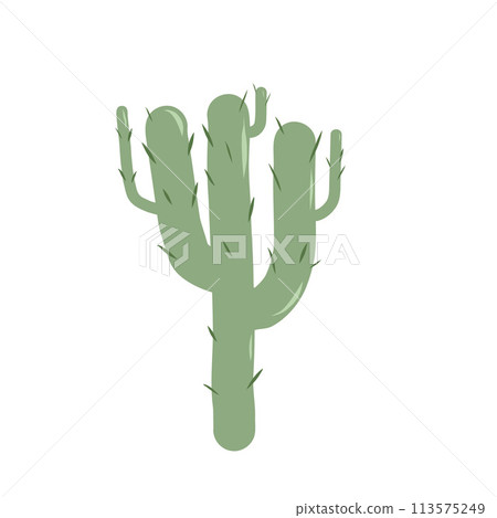 Cactus isolation on white background. Mexican exotic plant Vector flat illustration 113575249