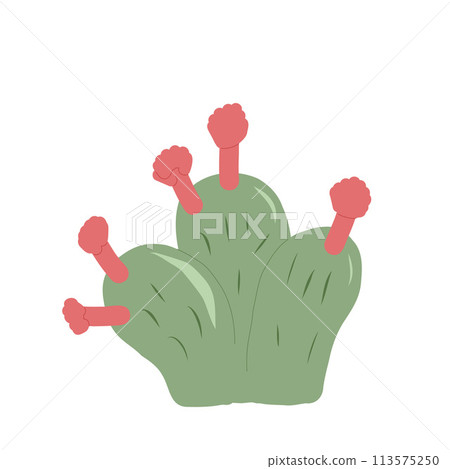 Cactus isolation on white background. Mexican prickly pear cacti. Exotic plant Vector hand drawn illustration 113575250
