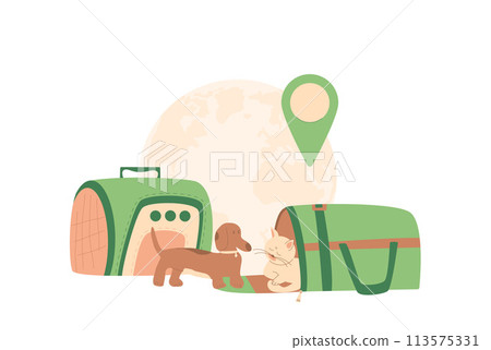 Pets transportation. Cat and dog with pets carrier isolated on white background. Trip for adventure and rest with domestic animals. Vector flat illustration 113575331