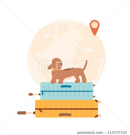 Travel with pets set. Trip with dogs. Suitcases and domestic animal. Puppy with luggage and planet map with location sign. Vector flat illustration Travel with pets set. Trip with dogs. Suitcases and domestic animal. Puppy with luggage and planet map with location sign. Vector flat illustration 113575335