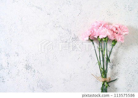 Carnation bouquets Carnation bouquets 113575586