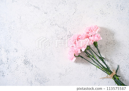 Carnation bouquets Carnation bouquets 113575587