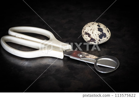 Quail egg and dissection scissors 113575622
