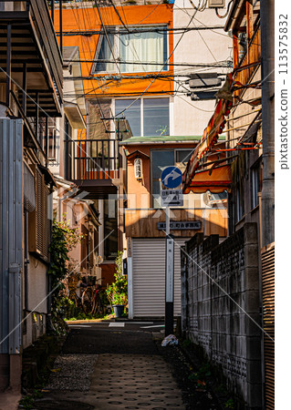 東京新宿風景 東京新宿風景 113575832