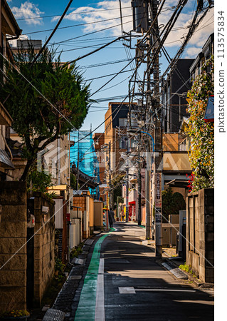 東京新宿風景 東京新宿風景 113575834