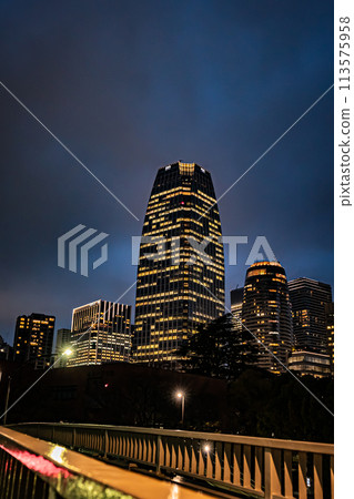 東京的夜景 東京的夜景 113575958