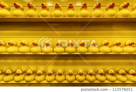 A lot of toy ducks 113576051