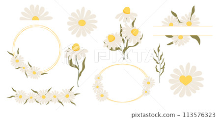 Set flower border daisy frames, floral decorations. Cute stickers, collection flowers petals, blossom with stem and leaves. Set flower border daisy frames, floral decorations. Cute stickers, collection flowers petals, blossom with stem and leaves. 113576323