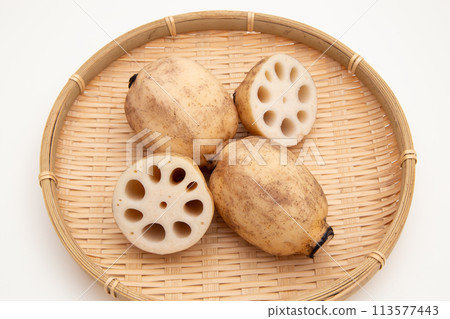 蓮藕蓮藕 113577443