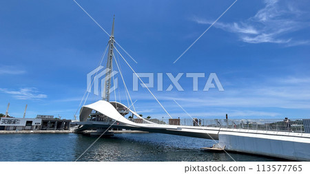 大港大橋/台灣旅遊局 113577765