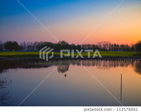 Fukushimagata at sunrise in Kita-ku, Niigata City 113578892