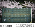 Sakura x Scoreboard 113578951