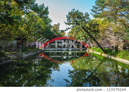 The Taiko bashi at Sumiyoshi Taisha Grand Shrine in Osaka, Kansai, Japan 113579104