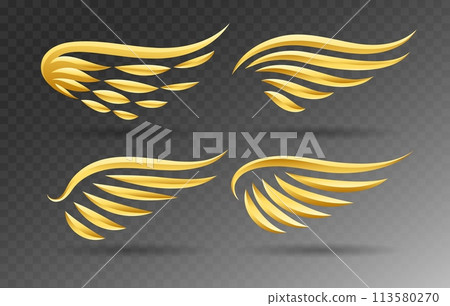 3d golden wings 3d golden wings 113580270