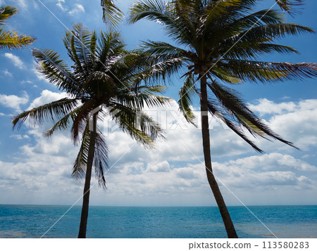 El mirador 2 public beach in Cancun 113580283