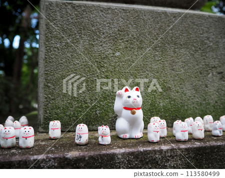 東京豪德寺的招財貓 113580499