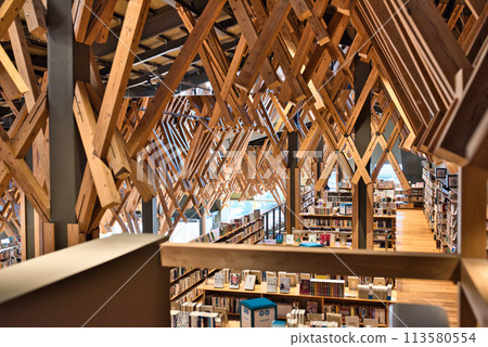 Library on the clouds Library on the clouds 113580554