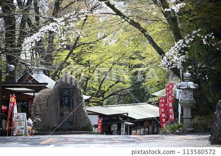 伊香保溫泉 水澤觀音 / Bando 16th Sacred Ground 113580572