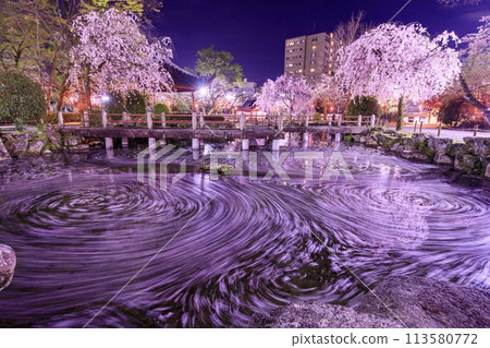 Cherry blossom rafts at the Japan-China Friendship Garden in Gifu City Cherry blossom rafts at the Japan-China Friendship Garden in Gifu City 113580772