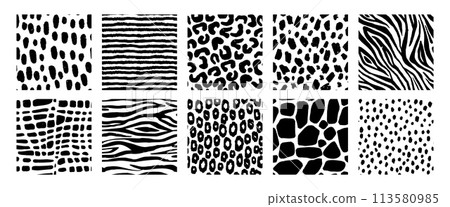 Black and white animal patterns. Seamless print of wild nature skin textures, abstract decorative crocodile, leopard, zebra, tiger, giraffe. Vector set 113580985