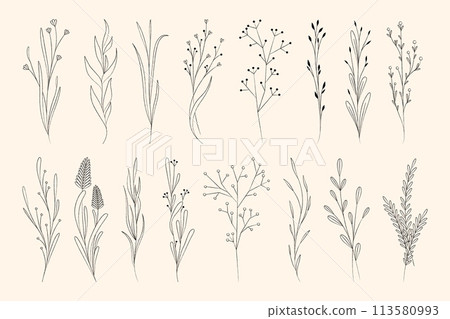 Luxury botanical elements. Abstract hand drawn floral decorative elements, vintage elegant floral bouquets and wreaths. Vector isolated collection 113580993