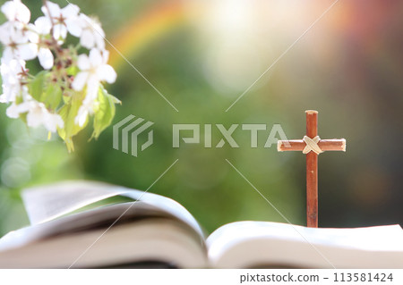 Holy Bible and cross of Jesus Christ on windy spring day with cherry blossoms and bright sunlight green forest background Holy Bible and cross of Jesus Christ on windy spring day with cherry blossoms and bright sunlight green forest background 113581424