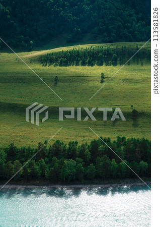Beautiful view of mountain river Katun and green valley 113581826