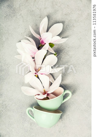Blossoming Magnolias in Teacups 113581976