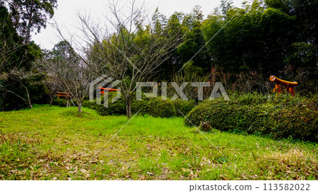松龜稻荷神社風景 113582022