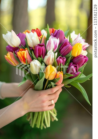 A woman tender grasp cradles a vivid array of tulips 113582129